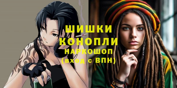 spice Сясьстрой