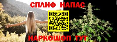прущие грибы Усть-Джегута