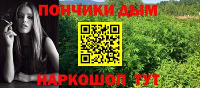 прущие грибы Усть-Джегута
