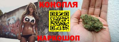 прущие грибы Усть-Джегута
