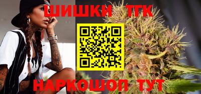 прущие грибы Усть-Джегута