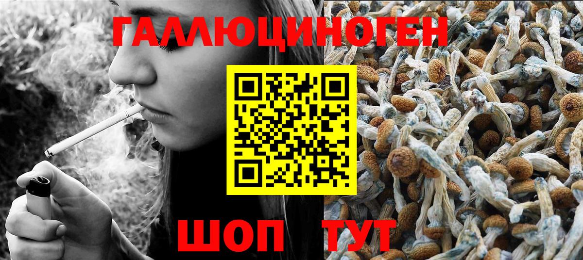 Псилоцибиновые грибы мухоморы Югорск